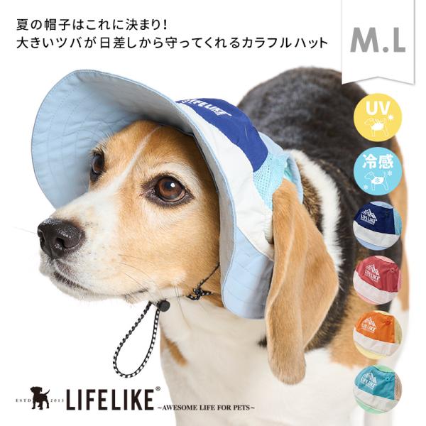 COOLINGマウンテンハットM-L 犬 かぶりもの 帽子 ハット ツバ 中型犬 春 夏 カラフル ...
