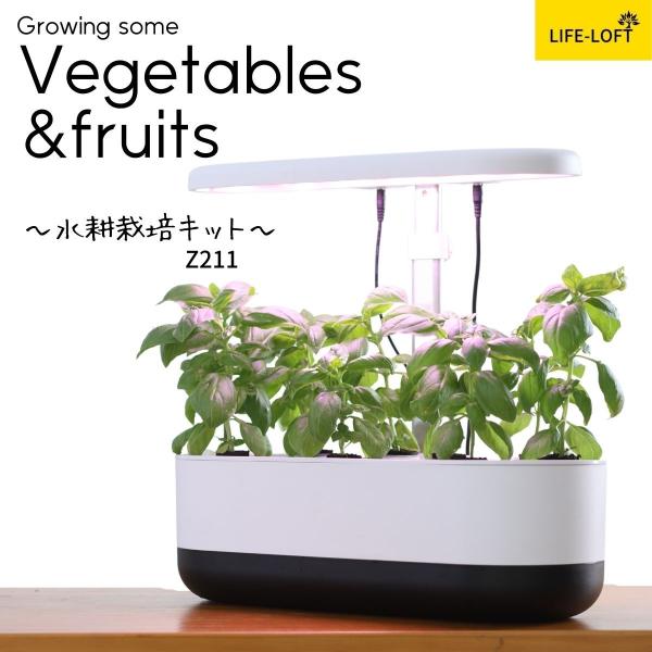 水耕栽培セット おしゃれ 長方形 植木鉢 植物用育成ライト 室内 野菜・花/果物モード 菜園   家...