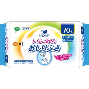 【大人用おしりふき 流せるタイプ 70枚入】の商品画像