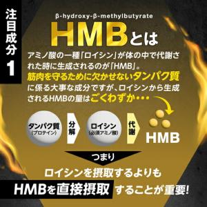 HMB フォルスコリ お徳用 150粒 [メー...の詳細画像5