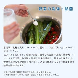 ほたてのめがみ 200g ホタテパウダー 万能...の詳細画像3