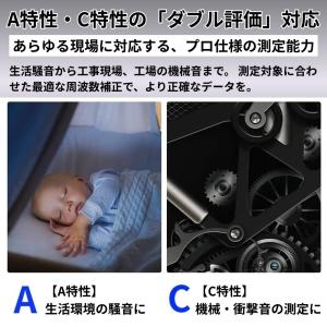 FNIRSI FDM-02 デジタル騒音計 サ...の詳細画像3