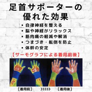 サポーター 足首 ヘルスオール 足首サポーター...の詳細画像2