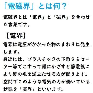 TM-190 テンマース 電磁波測定器 【正規...の詳細画像3