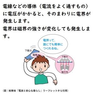 TM-190 テンマース 電磁波測定器 【正規...の詳細画像4