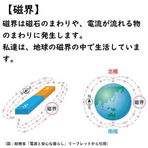 TM-190 テンマース 電磁波測定器 【正規...の詳細画像5