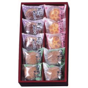 河内駿河屋 銘菓撰 10個入り