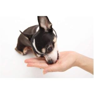 MEDIBALL メディボール ミルク味 犬用...の詳細画像5