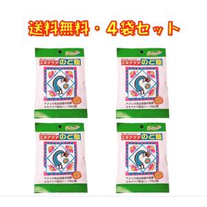 エキナケア のど飴 ノンシュガー 15粒入り ×4袋セット 松浦薬業 送料