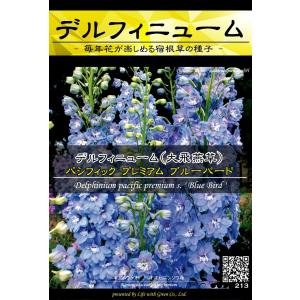 宿根草種子 デルフィニューム パシフィック プレミアム ブルーバード ｜ 大飛燕草 オオヒエンソウ [Life with Green]