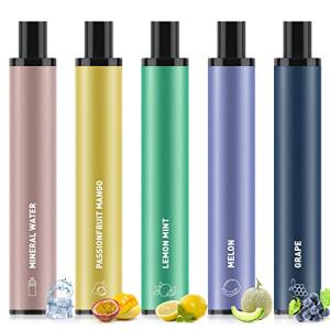 5風味セット(レモンミント&ミネラルウォーター&巨峰&メロン&パッションフルーツ マンゴー) 電子タバコ 使い捨て VAPE