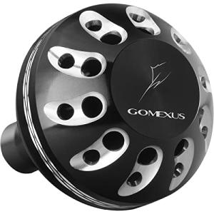 DAIWA（ダイワ） シルバーウルフAGS 701LXS ／チニングロッド 