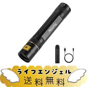 10W 365nm 紫外線 ブラックライト 強力 UV LED ライト ポータブル USB充電式 ペット用尿検出器 レジン硬化 釣り 鑑定 真贋 アル｜lifeangel