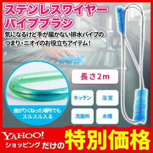パイプクリーナー ワイヤー ブラシ ロング 排水溝 排水口