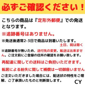 ミッキーマウス パスケース 東京ディズニーリゾ...の詳細画像3