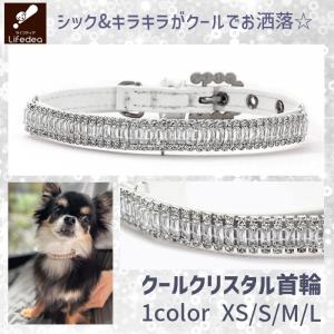 FENDI（フェンディ） ドッグカラー 8AC016 AJI5 首輪 ペットカラー