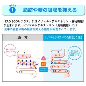 【新タイプ強炭酸水 ZAO SODA プラス】...の詳細画像3