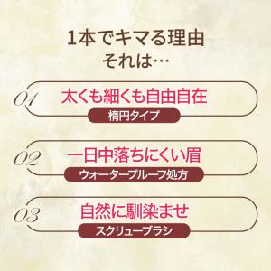 アイブロウ ペンシル ライトブラウン ダークブ...の詳細画像5