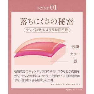 リップ 口紅 落ちにくい 50代 保湿 ツヤ ...の詳細画像4