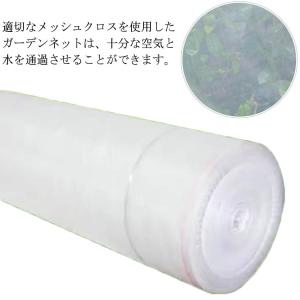 防虫ネット ムシカットストロング 150cm×100m 防虫ネット 虫除けネット トンネル ビニールハウス 虫よけ 虫除け 農業 園芸 菜園 野菜 苗｜lifegarden