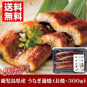 訳あり 鹿児島県産 うなぎ蒲焼(長焼300g) 送料無料 お...