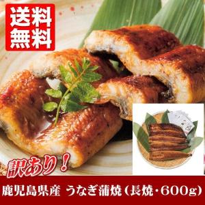 訳あり 鹿児島県産 うなぎ蒲焼(長焼600g) 送料無料 お...