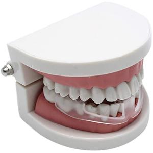 歯ぎしりマウスピース 2個セット 歯ぎしり い...の詳細画像4