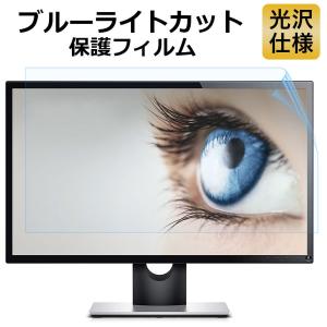 ブルーライトカット フィルム パソコン 24インチ 液晶 保護フィルム モニター 532mm x 297mm (16:9) 光沢仕様