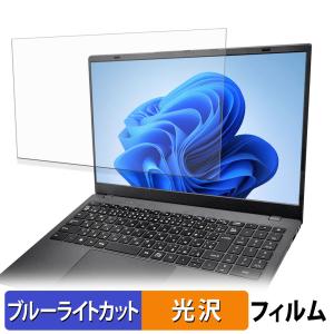 IPASON PS15J ブルーライトカット フィルム 液晶保護フィルム 光沢仕様