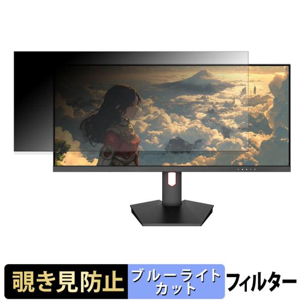 JAPANNEXT JN-IPS29G200WF / JN-IPS29G200WF-HS 覗き見防止...