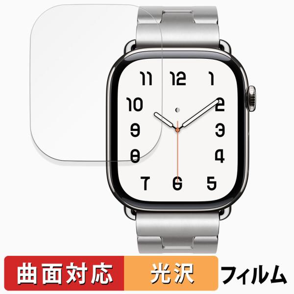 Apple Watch Hermes Series 10 ( ケースサイズ 46mm ) 用 保護フ...