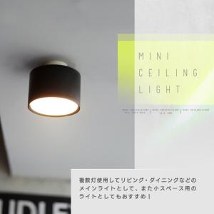 ダクトレール用 エジソンスマート 照明 2個セ...の詳細画像1