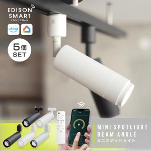 Edison Smart エジソンスマート ミニスポットライト 2024年