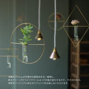 PIKE ピケ ウォールブラスベース 壁掛け ...の詳細画像1