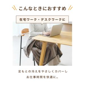 日本製 電気ひざ掛け 電気毛布 夏の冷え対策 ...の詳細画像1