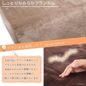 【公式】ライフジョイ 日本製 電気ひざ掛け 電...の詳細画像2