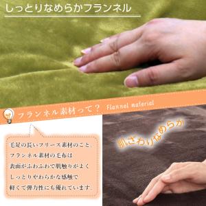 【公式】ライフジョイ 日本製 電気毛布 敷き毛...の詳細画像3