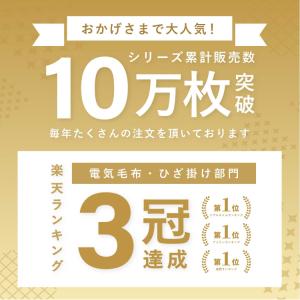 【公式】ライフジョイ 日本製 電気毛布 掛け敷...の詳細画像1