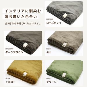 【公式】ライフジョイ 日本製 電気毛布 掛け敷...の詳細画像2