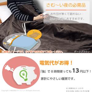 日本製 電気毛布 掛け敷き フランネル 188...の詳細画像4