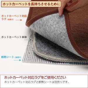 電気カーペット ホットカーペット 1畳 125...の詳細画像5