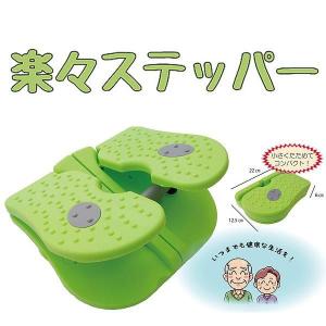 スリムビューティーハウス エンザイムフローラ 60包入 : sun lise