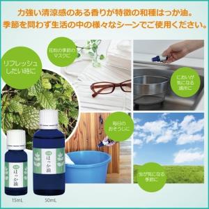 和種 はっか油 50ml ドロッパ―タイプ 虫...の詳細画像2
