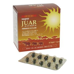 龍命丸 VALOS リュウメイガン ヴァロス 120粒 ルンブルクス末 食用赤