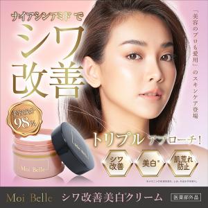MESOCEUTICAL メソシューティカル ナノホワイトセラム 15g MSOCEUTICAL