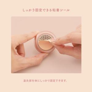 【3箱セット】ルルドボーテ フェムオンテック ...の詳細画像3