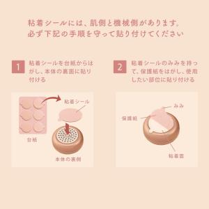 【3箱セット】ルルドボーテ フェムオンテック ...の詳細画像4