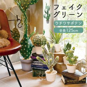 フェイクグリーン ケンチャヤシ 全長1.5m glp1528 : LIFE LUCK ヤフー