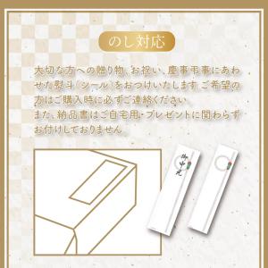 お中元 2026 お菓子 銀座千疋屋 銀座フル...の詳細画像3