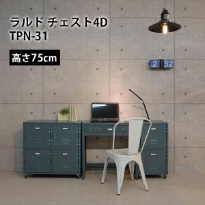 チェスト2D TPN-30BK TPN-30GR 2段 収納 東谷 AZUMAYA キャビネット